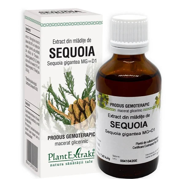 Extract din Mladite de Sequoia, 50 ml-PLAX.00074