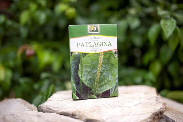 Patlagina, 50 gr-STMR.00077