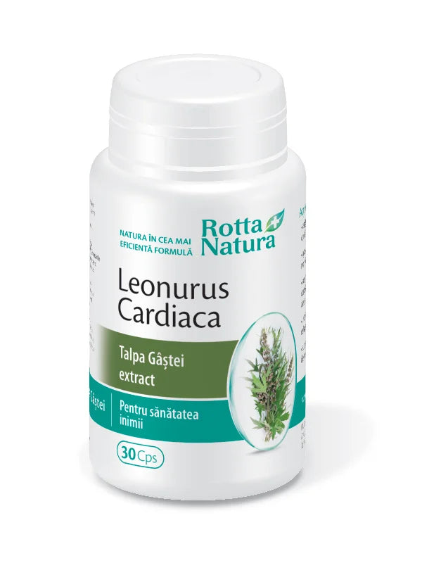 Leonurus cardiaca (talpa-gastii) extract, 30 cps-ROTT.00132