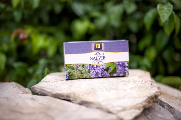 Salvie, 1,5 gr × 20 doze-STMR.00151