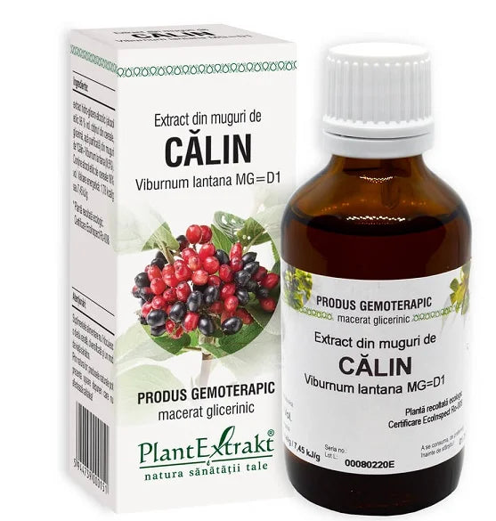 Extract din Muguri de Calin, 50 ml-PLAX.00044