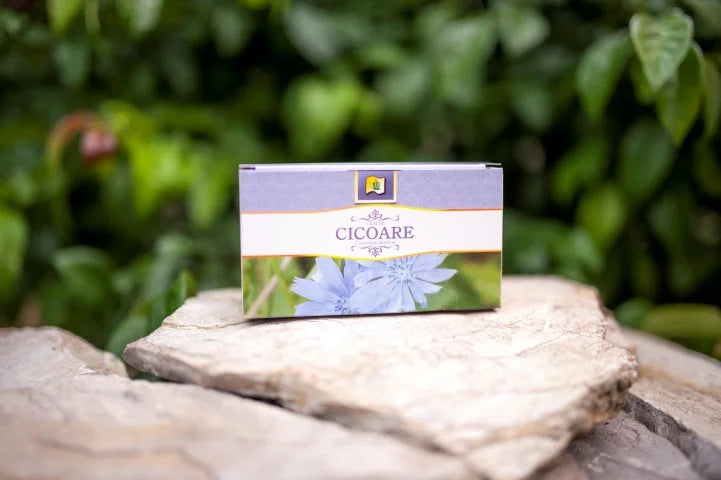 Cicoare, 1,5 gr × 20 doze-STMR.00171