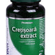 Cretisoara extract 60cps - Dvr Pharm