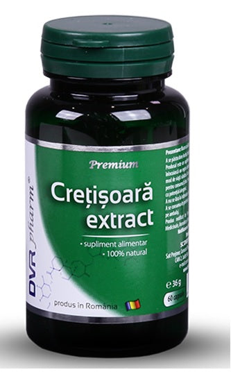 Cretisoara extract 60cps - Dvr Pharm
