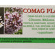 Comag plant supozitoare 1,5gr*10 - Elzin Plant