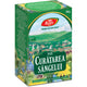 Ceai pentru curatarea sangelui p125 50gr - Fares