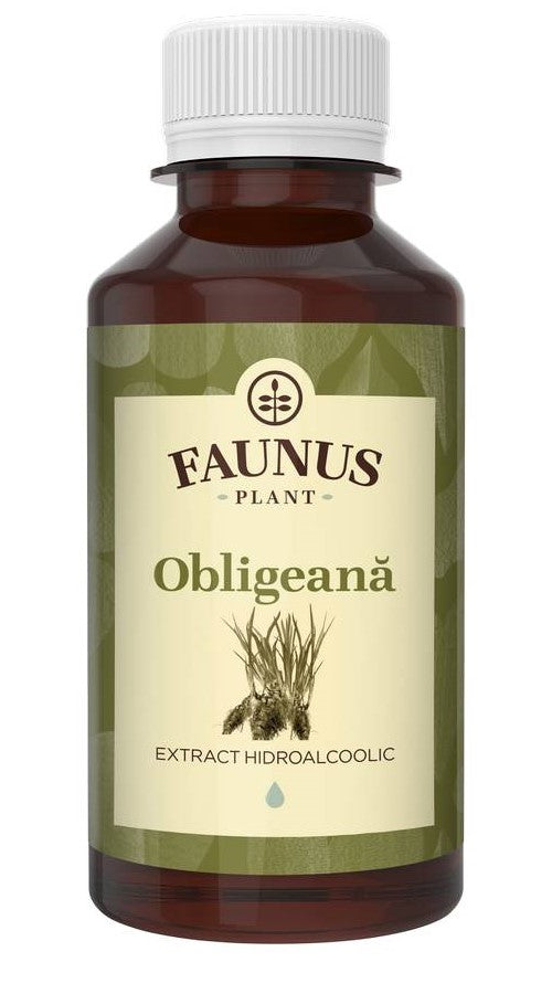 Tinctura obligeana 200ml - Faunus Plant