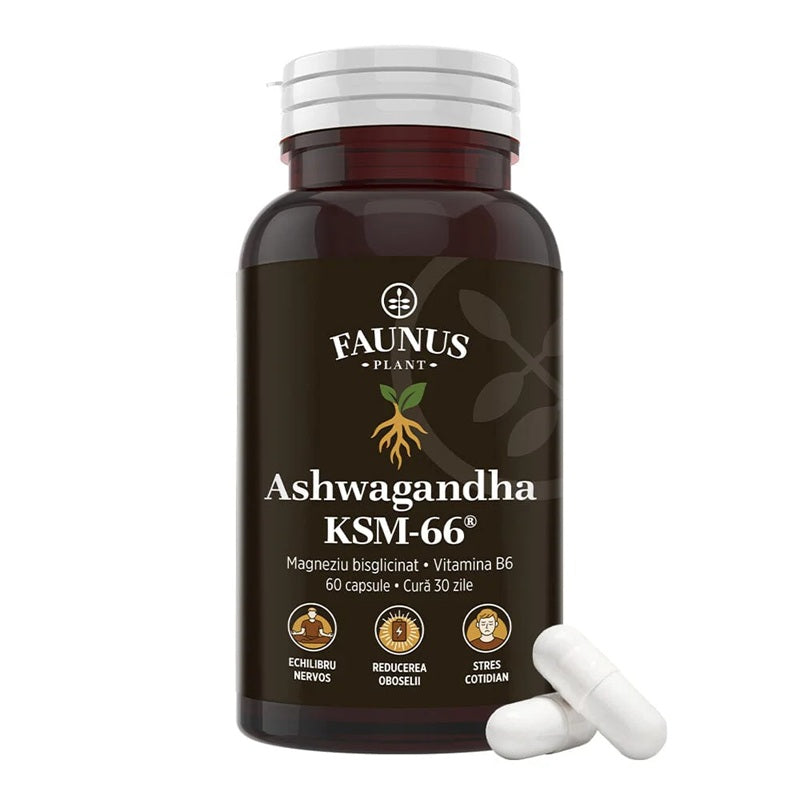 Ashwagandha KSM-66, 60 capsule - Faunus Plant