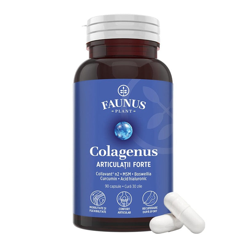 Capsule Colagenus Articulații Forte, 90 capsule – FAUNUS PLANT