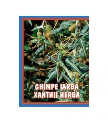 Ceai de ghimpe 50gr - Cyani