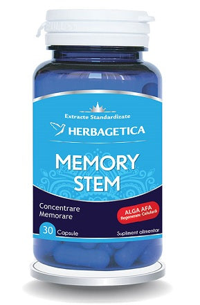 Memory stem 30cps - Herbagetica