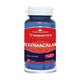 Stomacalm 60cps - Herbagetica