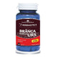 Branca marelui urs 60cps - Herbagetica