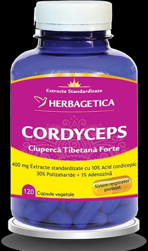 Cordyceps Ciuperca Tibetana Forte, 120 cps-HERB.00944