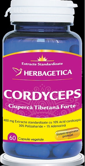 Cordyceps Ciuperca Tibetana Forte, 60 cps-HERB.00946
