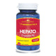 Hepato curcumin 95 60cps - Herbagetica