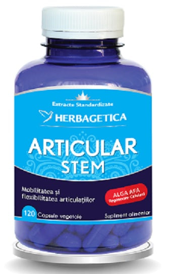 Articular stem 120cps vegetale - Herbagetica