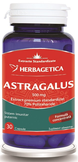 Astragalus 500mg 30cps - Herbagetica