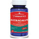 Astragalus 500mg 60cps - Herbagetica