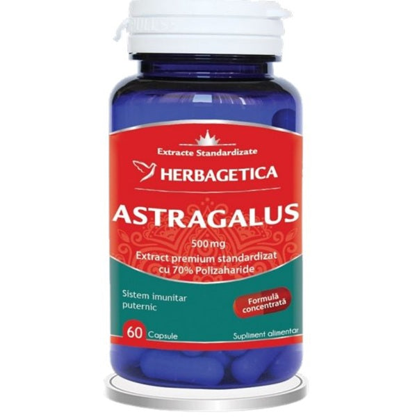 Astragalus 500mg 60cps - Herbagetica