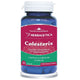 Colesterix 30cps - Herbagetica