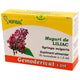 Gemoderivat muguri liliac 1,5ml*30mdz - Hofigal