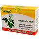 Gemoderivat mladite mur 1,5ml*30mdz - Hofigal