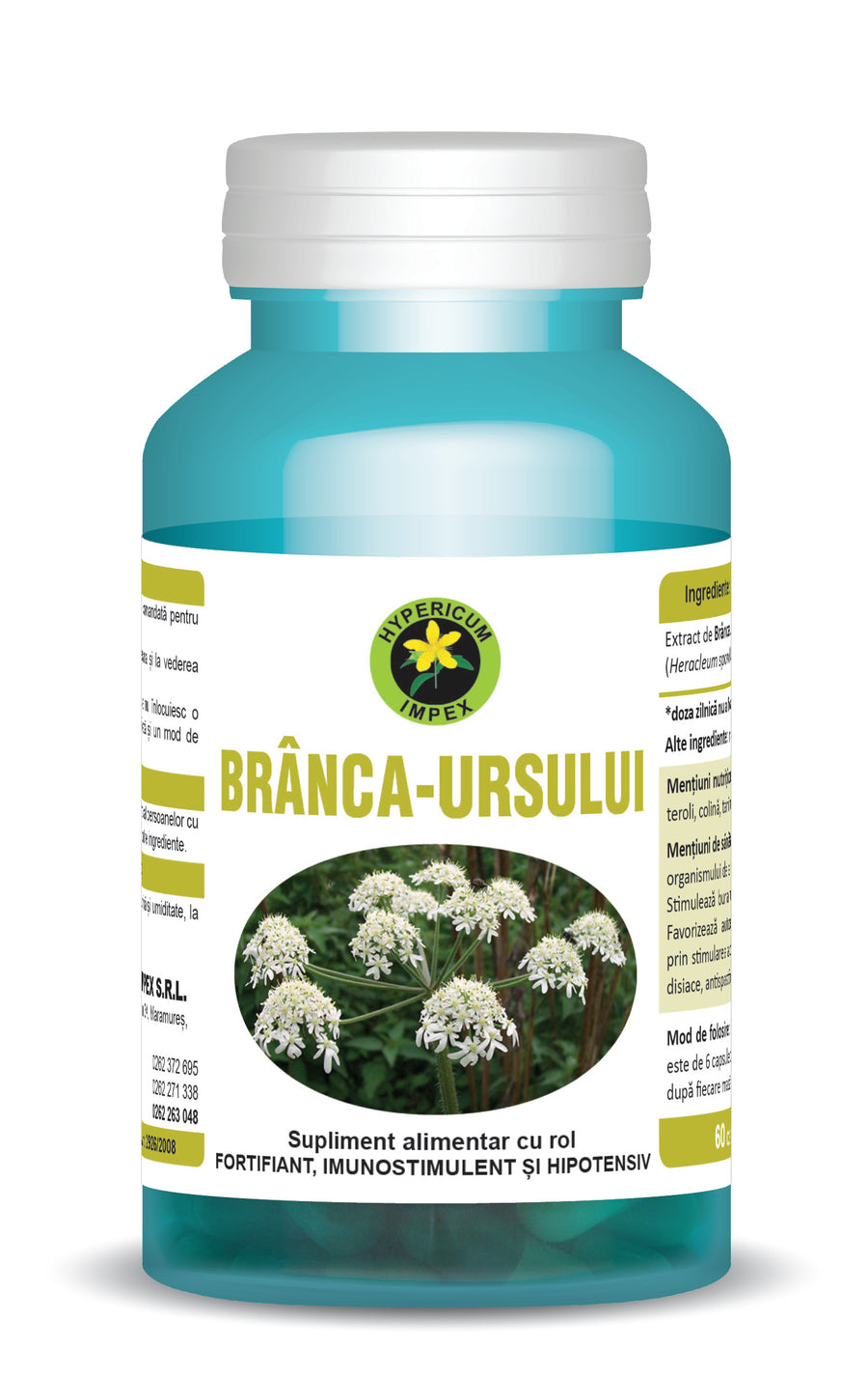 Branca Ursului, 60 capsule-HYPE.00042