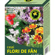 Ceai de flori fan 100gr - Hypericum