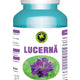 Lucerna 60cps - Hypericum