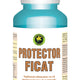 Protector ficat 300mg 60cps - Hypericum