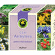 Ceai antistres 1,5gr*20dz - Hypericum