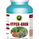 Hyper bron 60cps - Hypericum