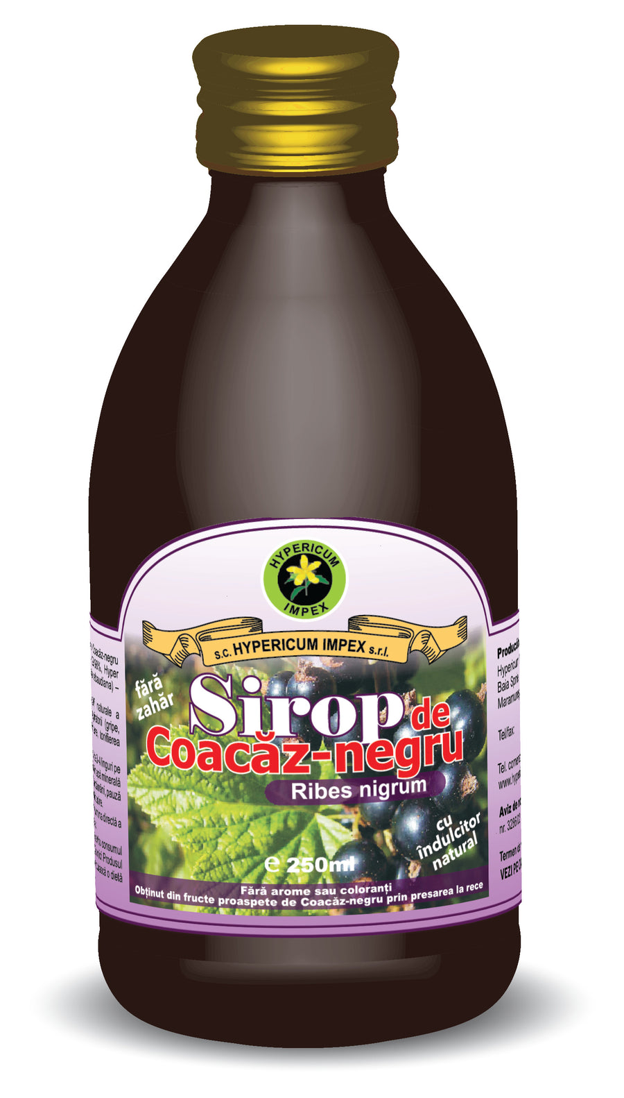 Sirop Coacaz Negru + indulcitor stevie, 250 ml-HYPE.00450