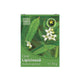 Ceai de Lipicioasa, 70g – HYPERICUM