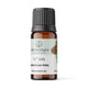 Ulei aromatic siberian pine 10ml - Light Candel Art