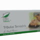 Tribulus terrestris 30cps - Medica