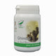 Ghimbir 60cps - Medica