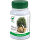 Mastic gum 60cps - Medica