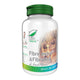 Fibre Extra și Fibrulină (60 comprimate) – Medica - Fibrulină 150 mg, tărâțe de grâu 350 mg