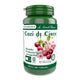 Cozi de cirese 60cps - Medica