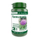 Armurariu 60cps - Medica