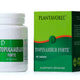 Topinambur forte 40cpr - Plantavorel