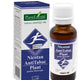 Nicotan antitabac plant 30ml - Plantextrakt