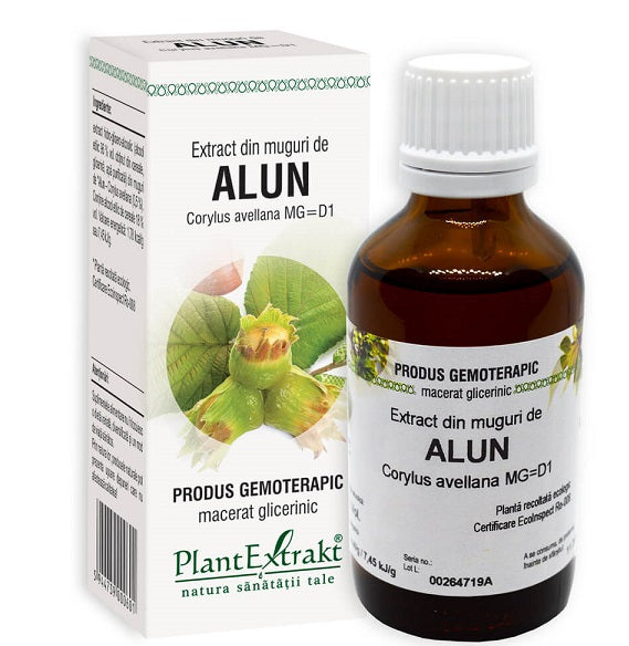 Extract din muguri de alun 50ml - Plantextrakt