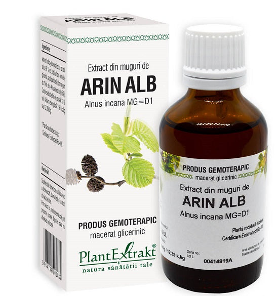 Extract din muguri de arin alb 50ml - Plantextrakt