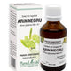 Extract din muguri de arin negru 50ml - Plantextrakt