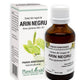 Extract din muguri de arin negru 50ml - Plantextrakt