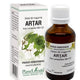 Extract din muguri de artar 50ml - Plantextrakt