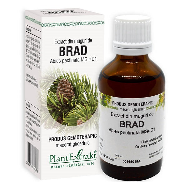 Extract din muguri de brad 50ml - Plantextrakt